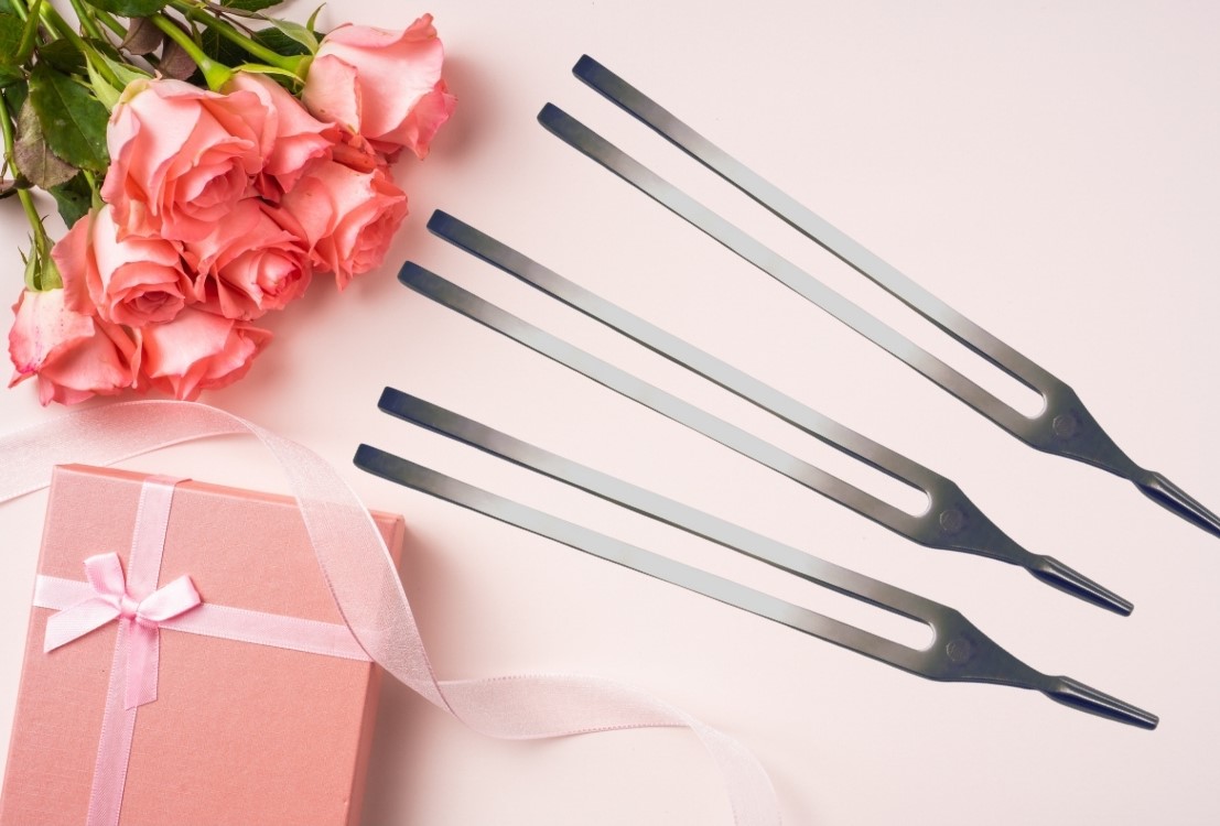 ホリスティック音叉セラピー™セルフケア講座 - 一般社団法人 日本音叉